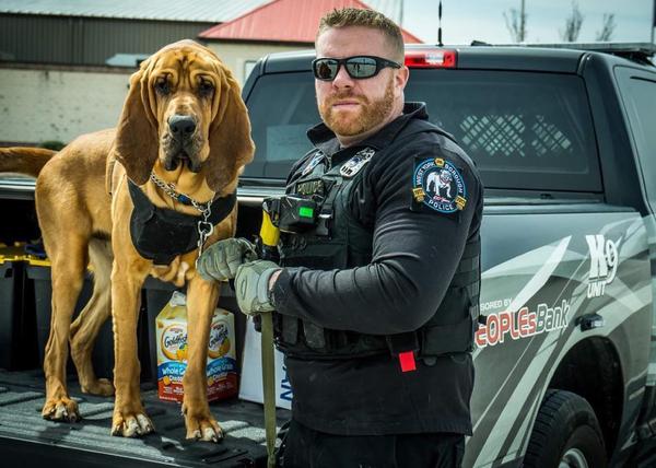 Momentazos felices de Prince, un guapo Sabueso y Perro Policía con que ayuda a localizar a humanos perdidos