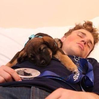 De Sochi a EEUU: varios deportistas americanos adoptan a perros …