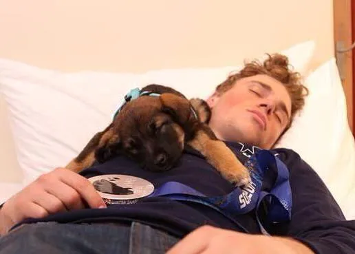 De Sochi a EEUU: varios deportistas americanos adoptan a perros callejeros
