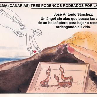 Una empresa de drones prepara el rescate de los perros …