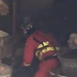 La UME rescata a unos podencos que corrían el riesgo …