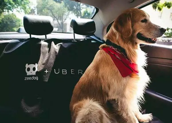 Los perros viajan en Uber, en el resto del mundo