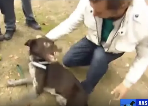 Decenas de asociaciones y educadores caninos piden a Mediaset que retire Malas Pulgas, de Borja Capponi