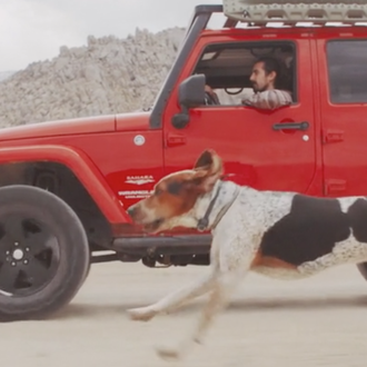 Darle la vida que se merece a un perro adoptado …