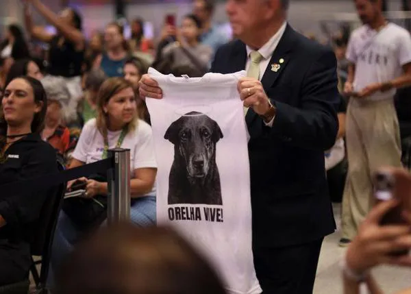 Brasil endurece drásticamente las penas por maltrato animal tras el atroz caso de Orelha: las sanciones pueden superar los 150.000 euros