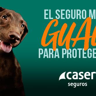 La salud de tu perro en buenas manos con Caser …