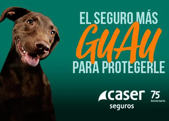La salud de tu perro en buenas manos con Caser Más que Mascotas