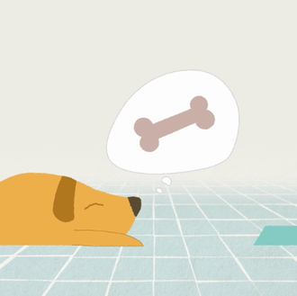 Cuando tu perro tiene hambre, ¿te lo dice como estos …