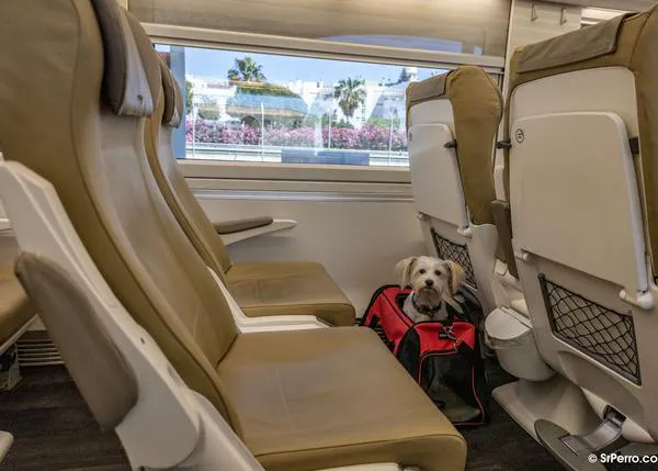 ¿Se puede viajar con perro de menos de 10kg en Renfe? Pues... en teoría sí pero en realidad no siempre