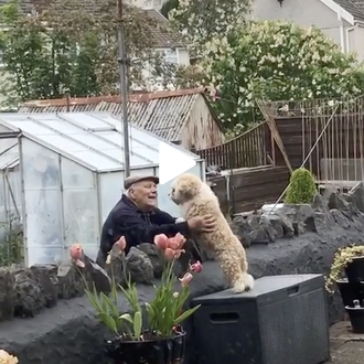 La gran amistad entre una perra y su vecino mayor …