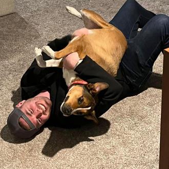 Un perro escapa de la residencia canina y logra llegar …