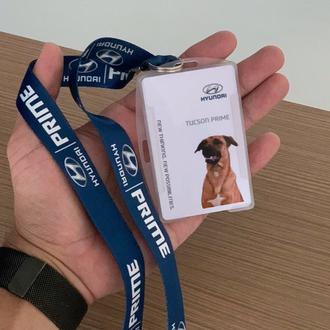 Un perro callejero se acerca a un concesionario de coches …
