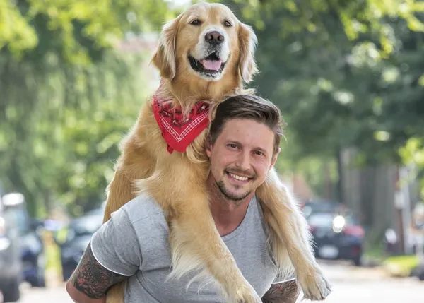 El (zampable) Golden que se lanza a la carrera a los brazos de su humano
