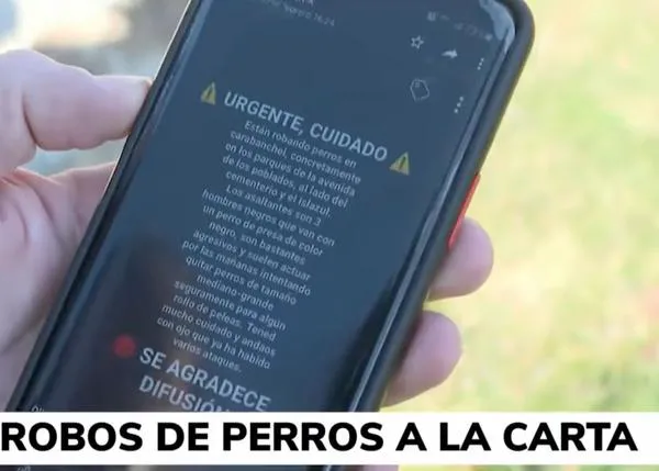 Sobre los robos de perros con violencia en parques de Madrid (y la alarma que generan estas noticias)
