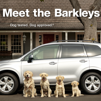 La familia Barkley protagoniza los nuevos y geniales anuncios perrunos …