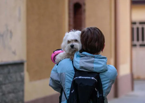 Campaña en el Reino Unido para que la formación policial sobre maltrato animal y violencia doméstica sea obligatoria