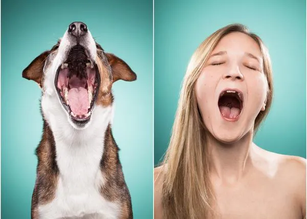 ¿Nos parecemos realmente a nuestros canes? ¿Serías capaz de emparejar a perros desconocidos con sus humanos?