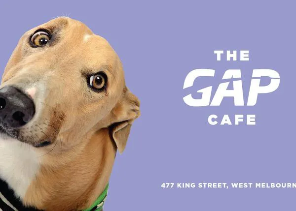 Abre en Melbourne un café dedicado a los galgos: es dog friendly y siempre hay galgos en adopción