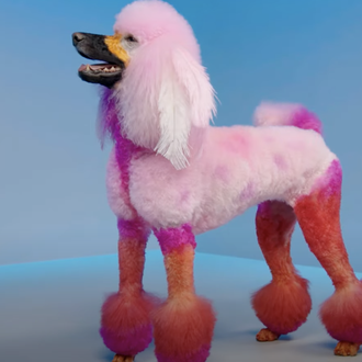 Los perros como entretenimiento en la TV: Pooch Perfect y …