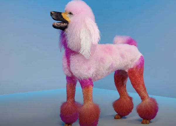 Los perros como entretenimiento en la TV: Pooch Perfect y la peluquería canina en versión concurso