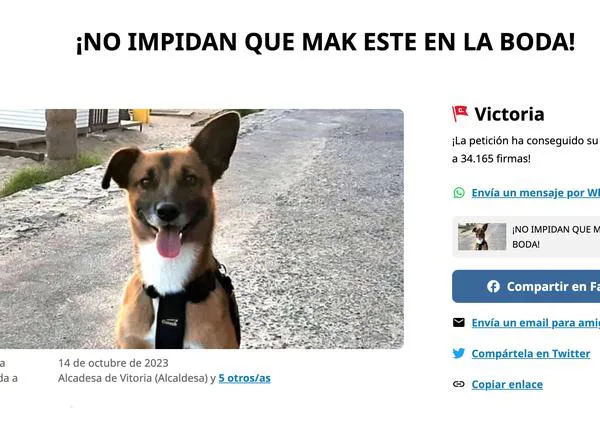 ¡¡Victoria!! !!El Ayuntamiento de Vitoria permite que el perrete Mak esté en la boda de sus humanos!!