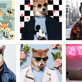 Estrellas de instagram: Bodhi, el perro que ha 