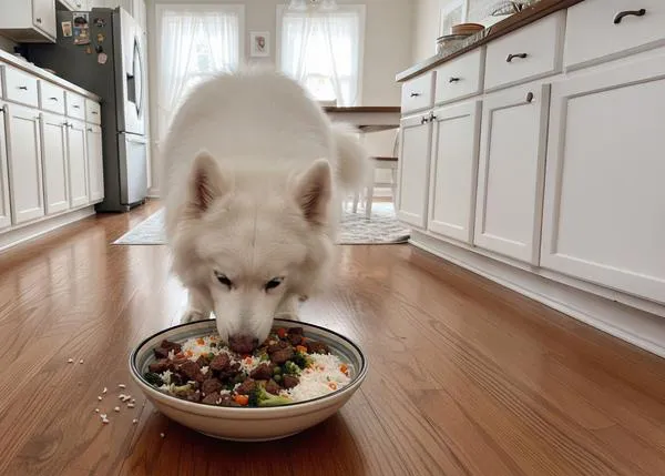 Solo el 6% de las dietas caseras tiene el potencial de ser nutricionalmente completa, según un estudio del Dog Aging Project