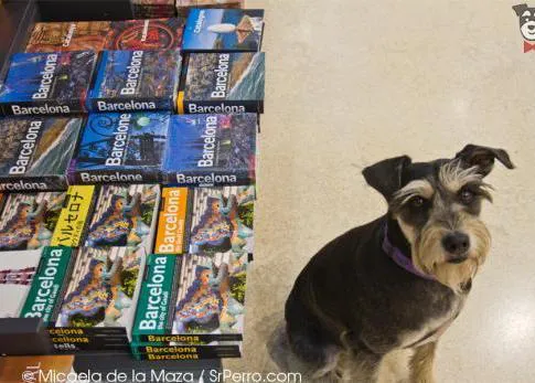 Navidades perrunas y solidarias en Casa del Libro Rambla de Cataluña