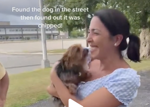 El emocionante momento en el que un perro perdido reconoce a su humana ¡tras dos años sin verla!