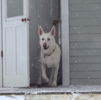 Savour every moment, el montaje del director: 8 minutos de …