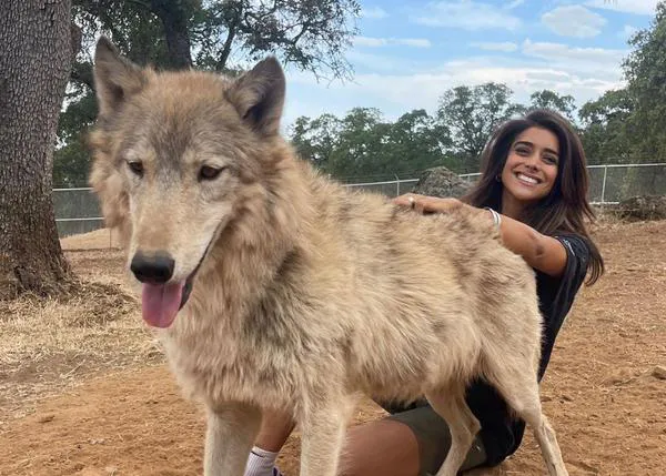 El santuario para perros lobo que, además, ofrece una experiencia sanadora a mujeres