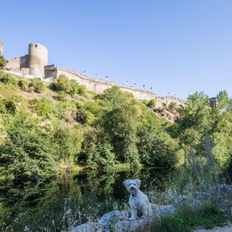 Los impulsores del turismo dog friendly en El Bierzo tiran …