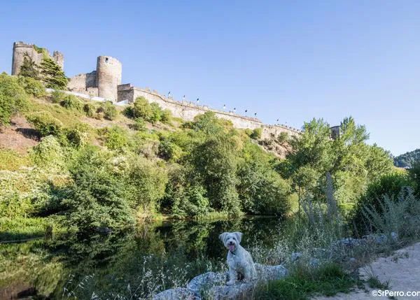 Los impulsores del turismo dog friendly en El Bierzo tiran la toalla por al inmovilismo del Ayuntamiento de Ponferrada