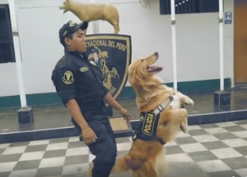 Scooby Doo PaPa y la Policía Nacional de Perú: un baile de moda contra el maltrato animal