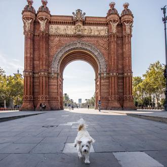 Planazo de DOGmingo solidario en Barcelona: Festa dels Animals en …