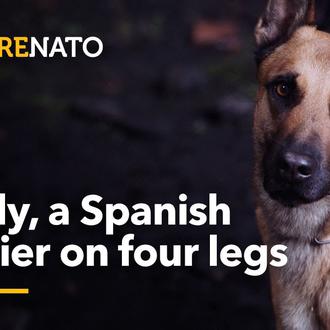 La OTAN presenta a Mufly, un perro de la UME …