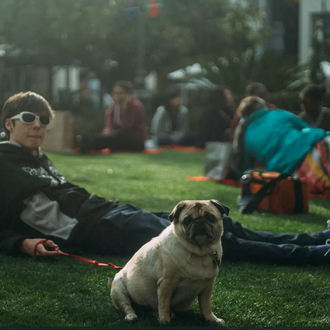 Perros felices ilustran una canción de lo más GUAU: Dogs …