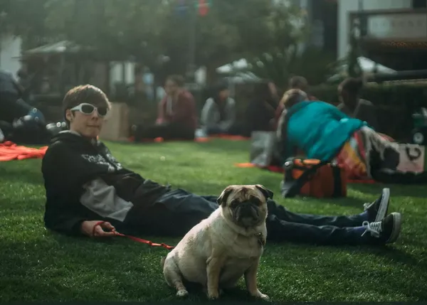 Perros felices ilustran una canción de lo más GUAU: Dogs de Wilderado