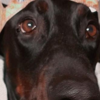La policía pide ayuda para localizar al cazador que ha …