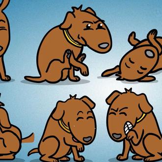 La Dermatitis Atópica Canina, una enfermedad crónica que afecta al …