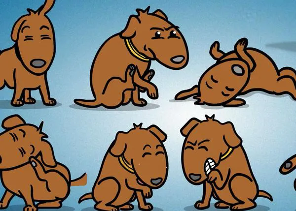 La Dermatitis Atópica Canina, una enfermedad crónica que afecta al menos al 10% de los perros