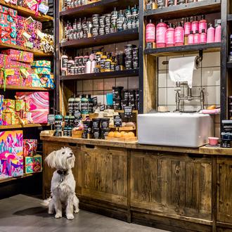 Lush celebra el Día Mundial de los Animales echando una …