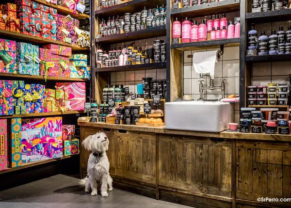 Lush celebra el Día Mundial de los Animales echando una gran pata a 16 protectoras y asociaciones animalistas