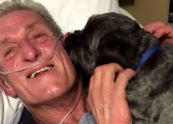 Teddy, el mestizo que despertó a su dueño de un coma inducido, es ahora perro de terapia