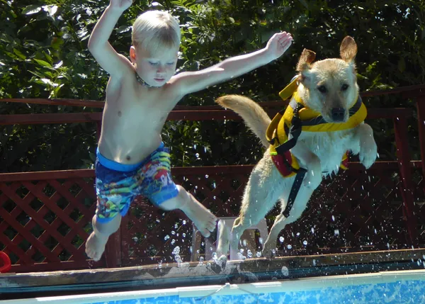 Una instructora de natación de 4 patas: una perra ayuda a niños con autismo a estar seguros en el agua