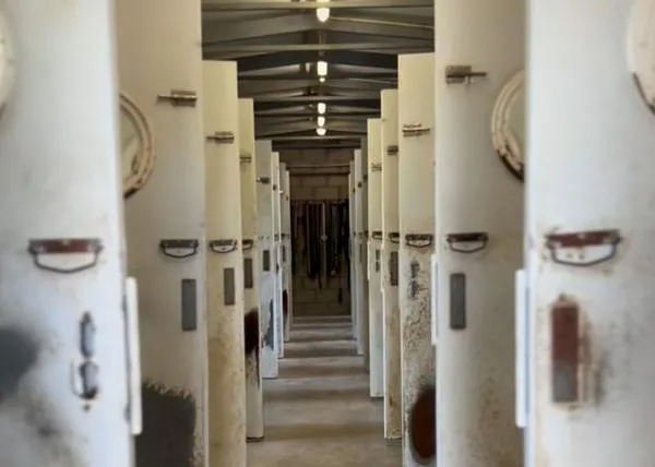 Por primera vez en 15 años, el Centro de Protección Animal de Torrejón de Ardoz está vacío.... por poco tiempo