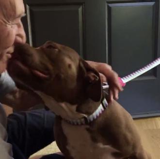 Las felices aventuras de Sir Patrick Stewart con su primera …