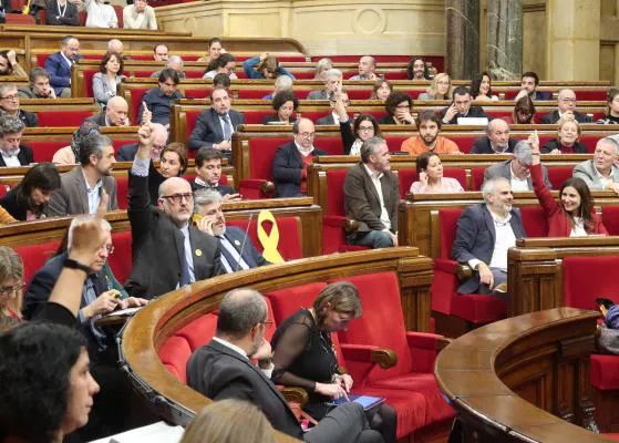 El Parlament de Cataluña rechaza el uso de perros escolta para víctimas de violencia machista