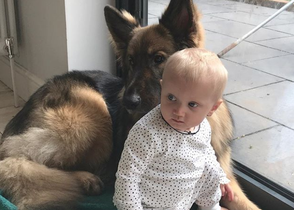 Loki, el perro cartero más eficaz, y sus pequeños humanos: crónica de una amistad imbatible