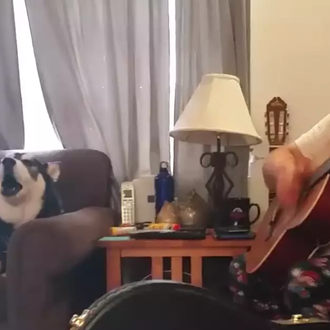 Operación Triunfo Guau: los perros cantantes que han mandado a …
